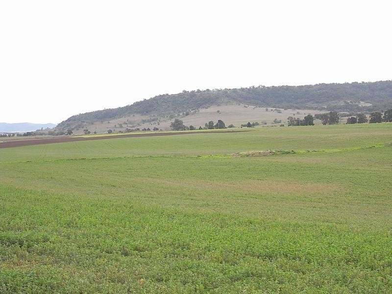 Lot 76, 1700 Bureen Road, Denman NSW 2328
