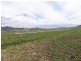 Lot 76, 1700 Bureen Road, Denman NSW 2328