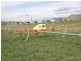 Lot 76, 1700 Bureen Road, Denman NSW 2328