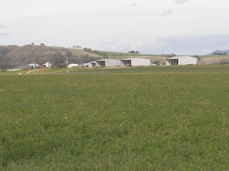 Lot 76, 1700 Bureen Road, Denman NSW 2328