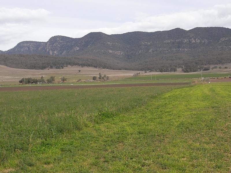 Lot 102, 1700 Bureen Road, Denman NSW 2328