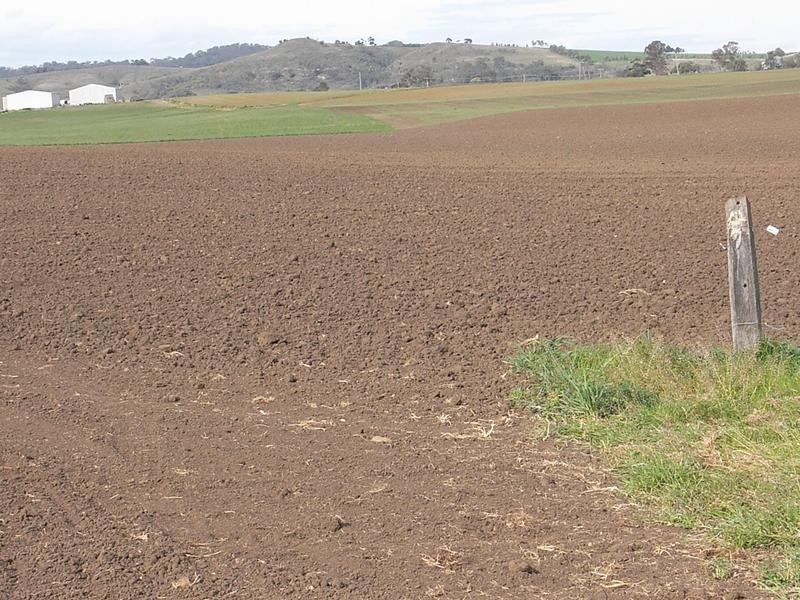 Lot 102, 1700 Bureen Road, Denman NSW 2328
