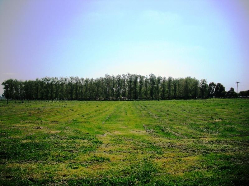 186 Glenarvon Road, Lorn NSW 2320