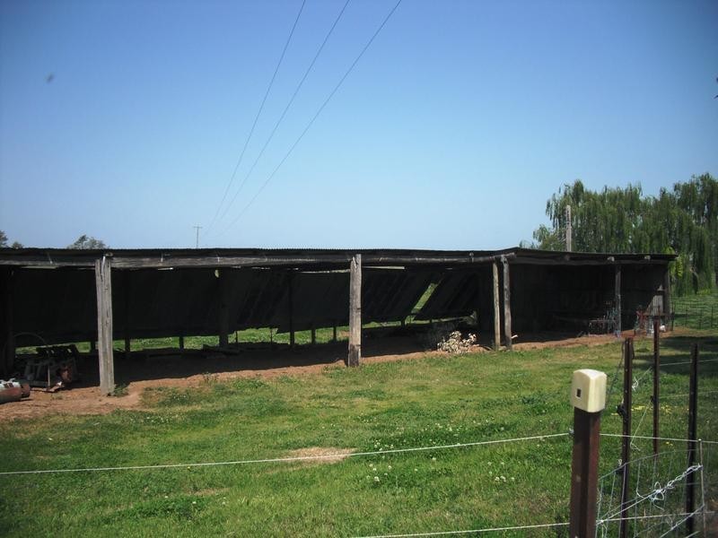 186 Glenarvon Road, Lorn NSW 2320