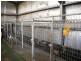 91 Dalwood Road, Branxton NSW 2335