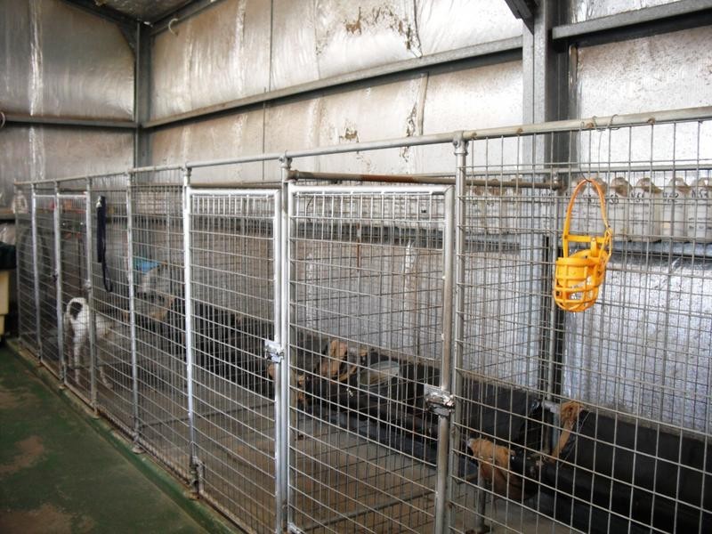 91 Dalwood Road, Branxton NSW 2335
