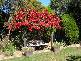 Greta NSW 2334