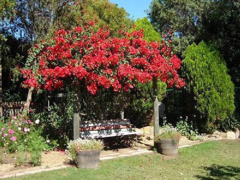Greta NSW 2334
