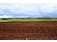 Lower Belford NSW 2335