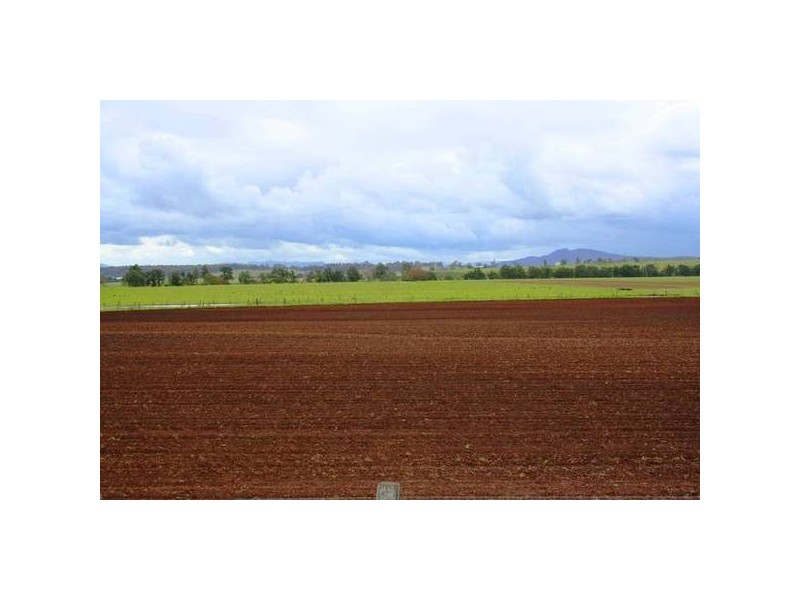 Lower Belford NSW 2335