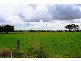 Lower Belford NSW 2335