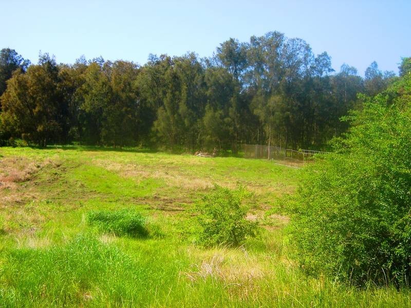 7 Spring, Branxton NSW 2335