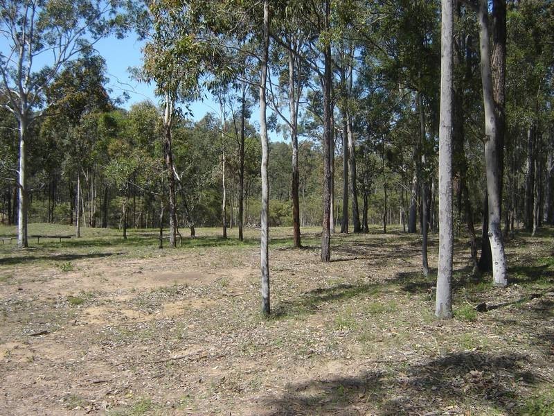 North Rothbury NSW 2335
