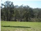 North Rothbury NSW 2335