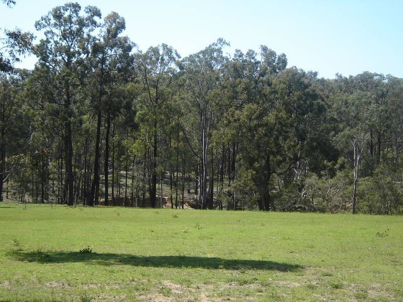 North Rothbury NSW 2335
