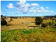 Branxton NSW 2335