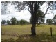 Branxton NSW 2335