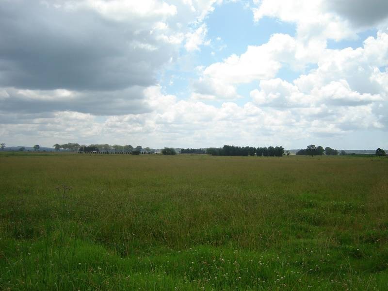 Wallalong NSW 2320