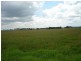 Wallalong NSW 2320
