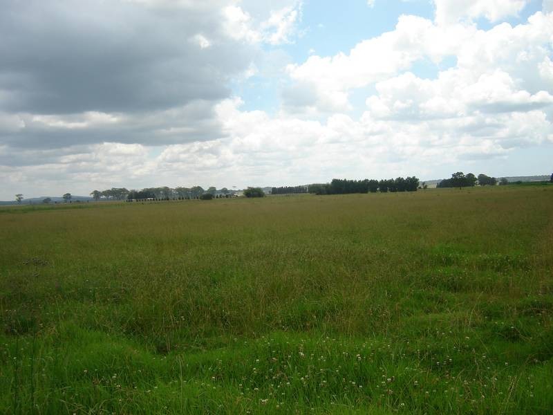 Wallalong NSW 2320