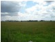 Wallalong NSW 2320