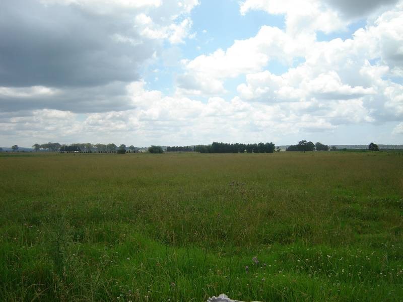 Wallalong NSW 2320