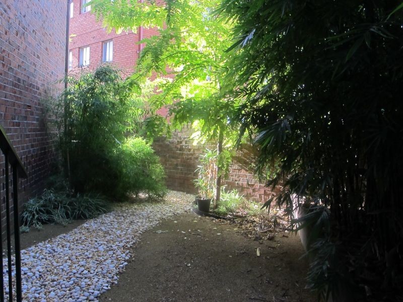 1/1 Iredale Street, Newtown NSW 2042