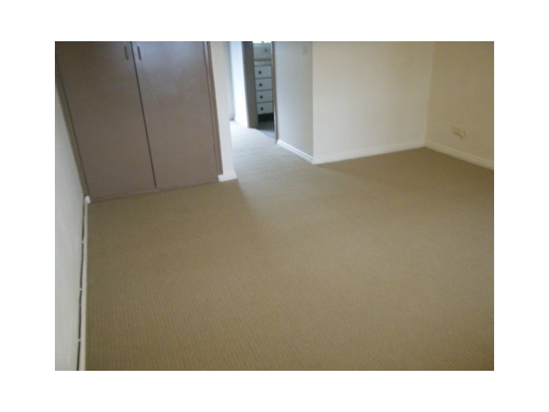 5/256 Wilson Street, Newtown NSW 2042