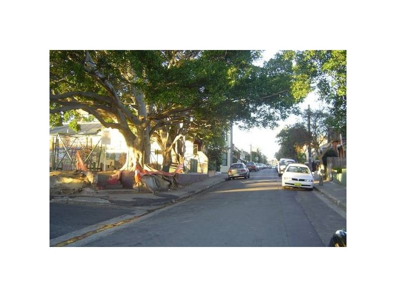 Wells Street, Newtown NSW 2042