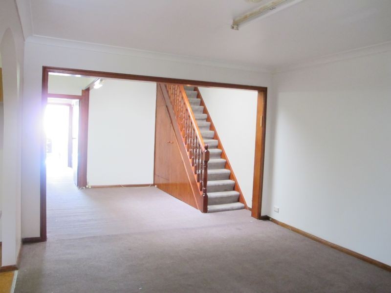 113 Gowrie Street, Newtown NSW 2042