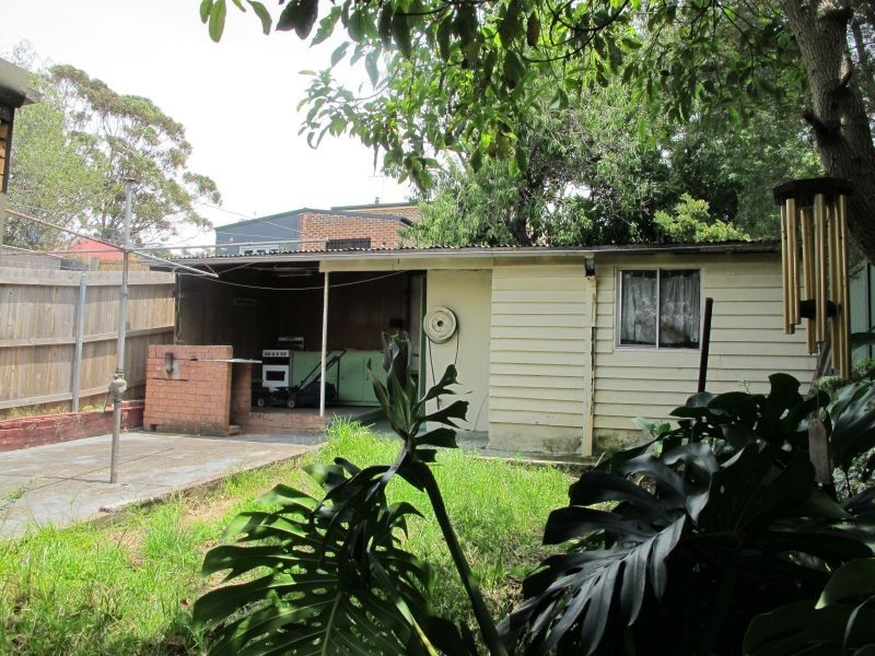113 Gowrie Street, Newtown NSW 2042
