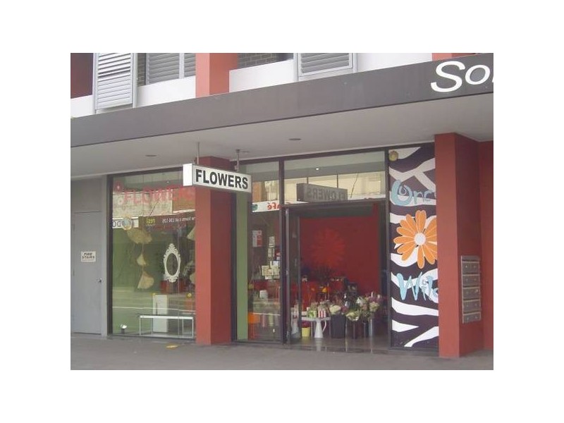 572 King Street, Newtown NSW 2042