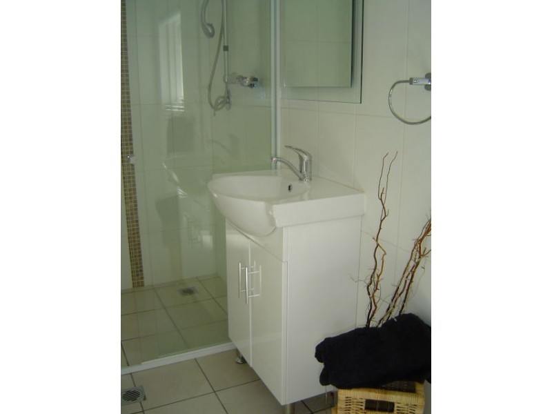 65 Wells Street, Newtown NSW 2042