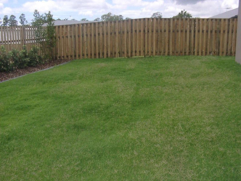 4 Rivervale Street, Ormeau QLD 4208