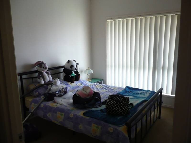 6 Bluetail Crescent, Upper Coomera QLD 4209