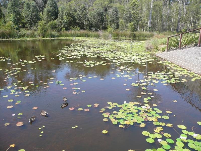 4/23 Park Esplanade, Coomera QLD 4209
