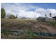 18 Sundew Crescent, Upper Coomera QLD 4209
