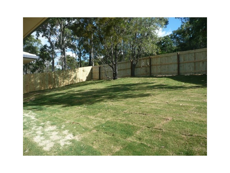 13 Manassa Street, Upper Coomera QLD 4209