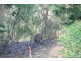 Lot 82,  Pinnacle Drive, Wongawallan QLD 4210