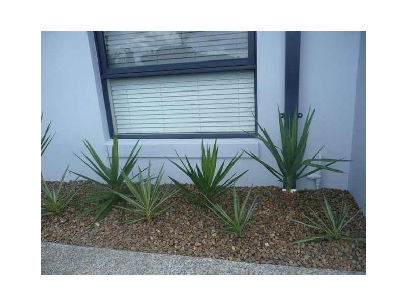 11 BUNDOORA STREET, Upper Coomera QLD 4209