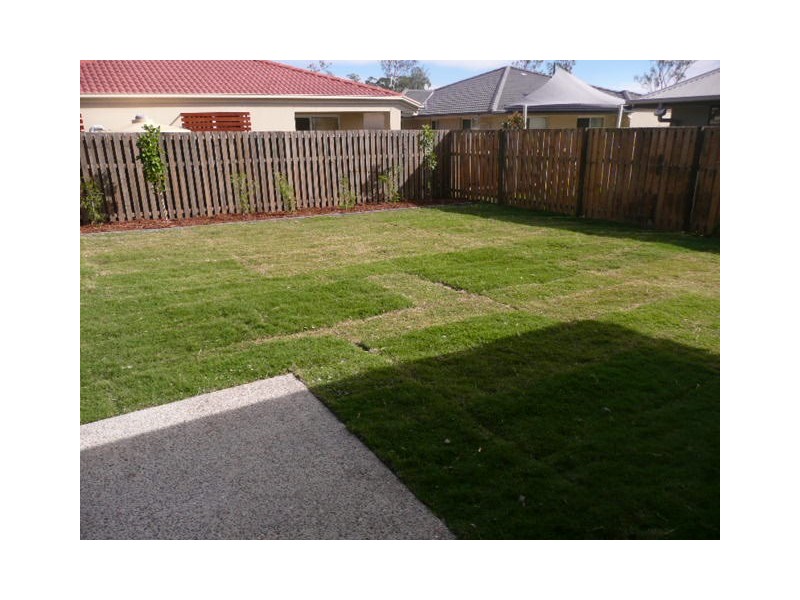 27 Andromeda Drive, Coomera QLD 4209