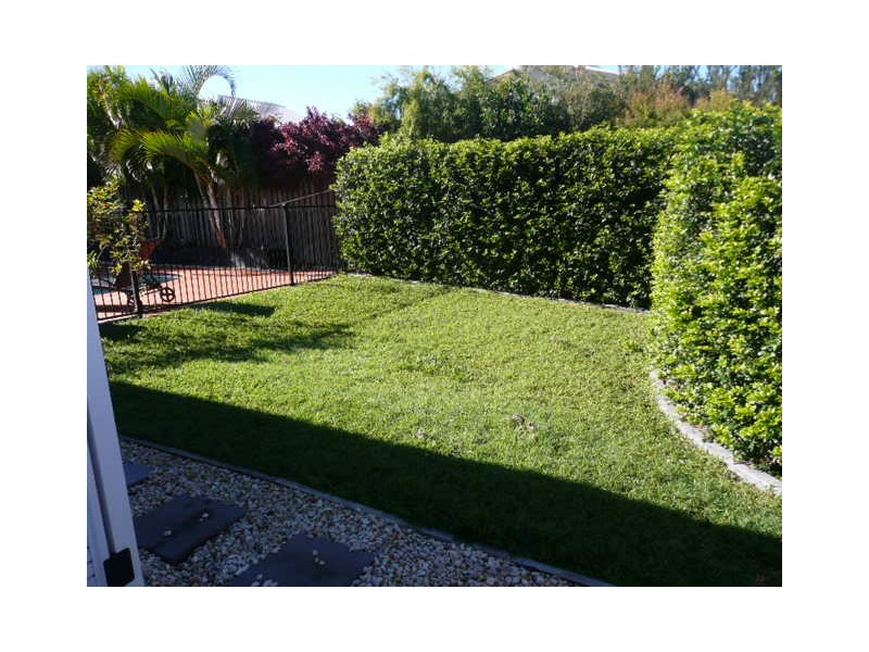 6 Freya Cct, Coomera QLD 4209