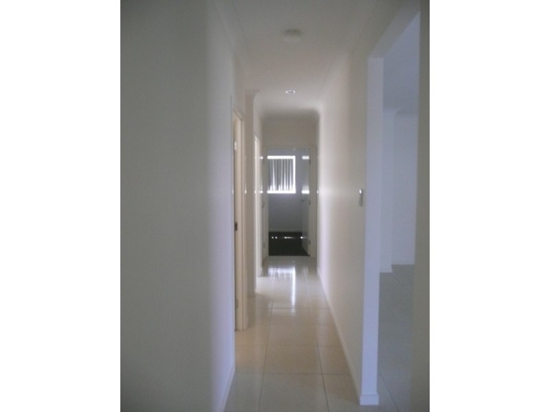 42 Mcleay Cct, Upper Coomera QLD 4209