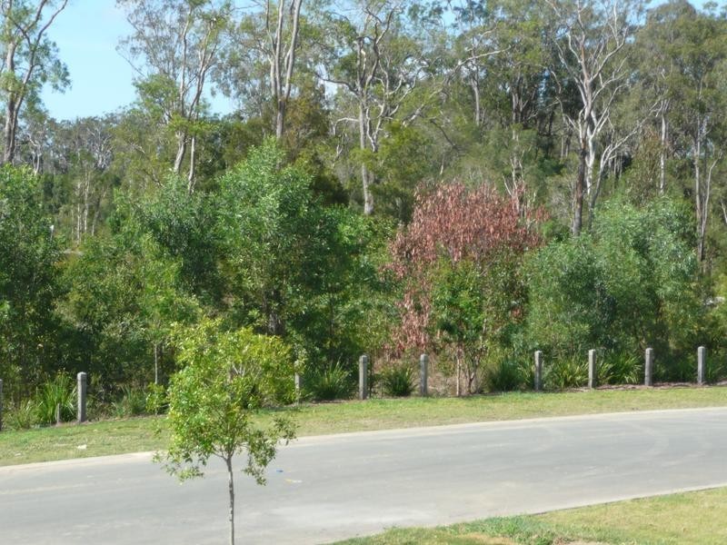 17 Andromeda, Coomera QLD 4209