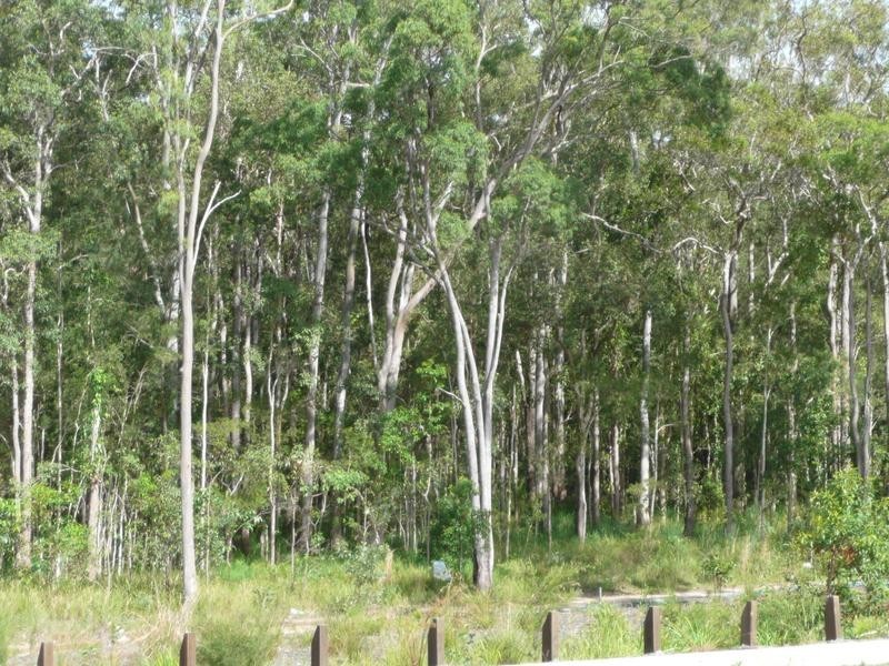 2-8 St Michaels, Coomera QLD 4209