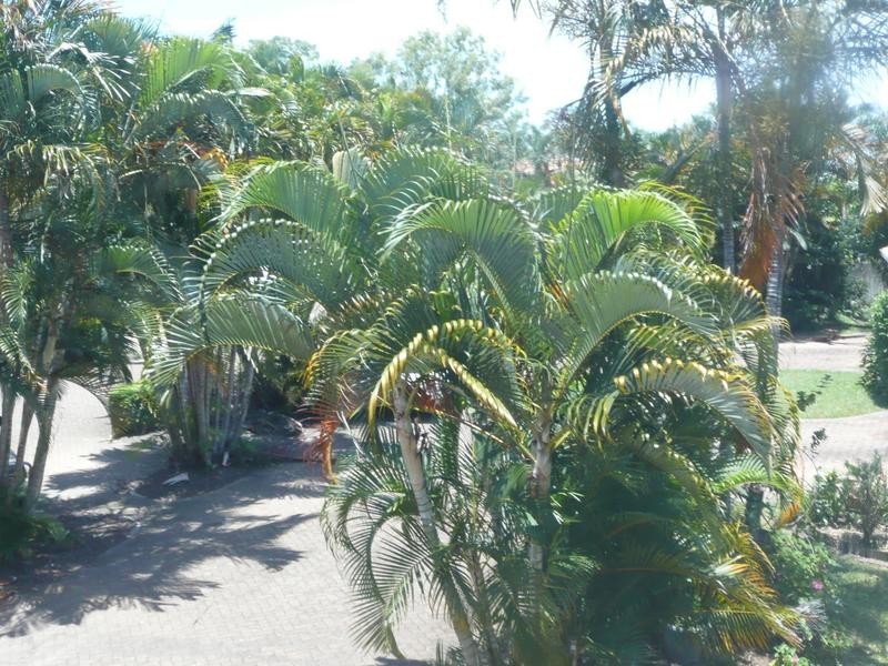 14/44 Esplanade, Coomera QLD 4209