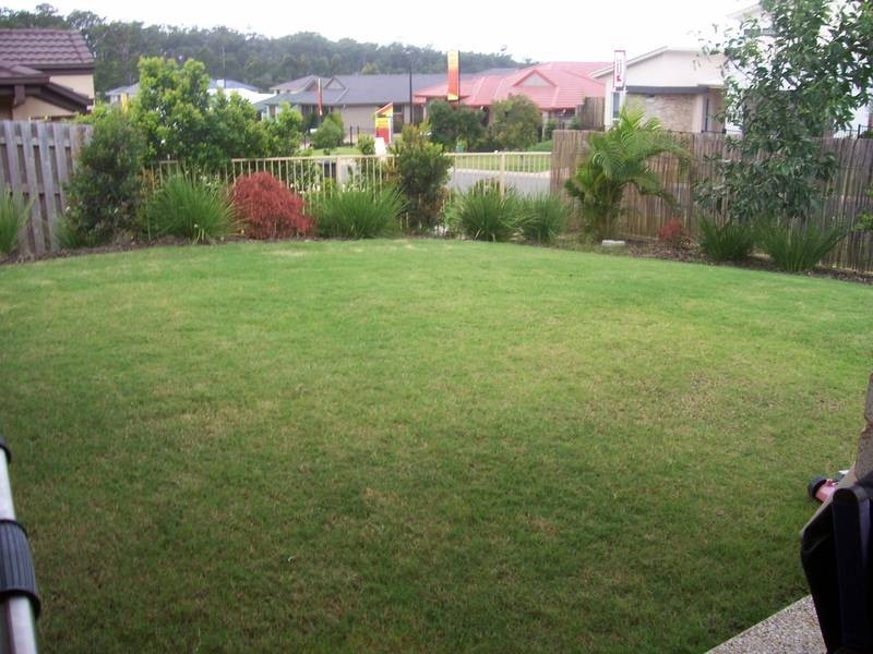 1 Waterclover Drive, Upper Coomera QLD 4209