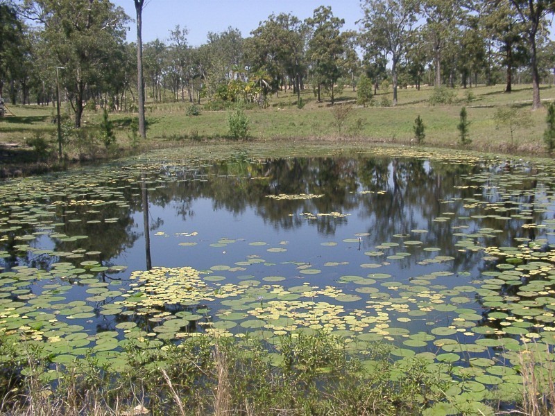 Lot 53, 16 Valda Avenue, Coomera QLD 4209