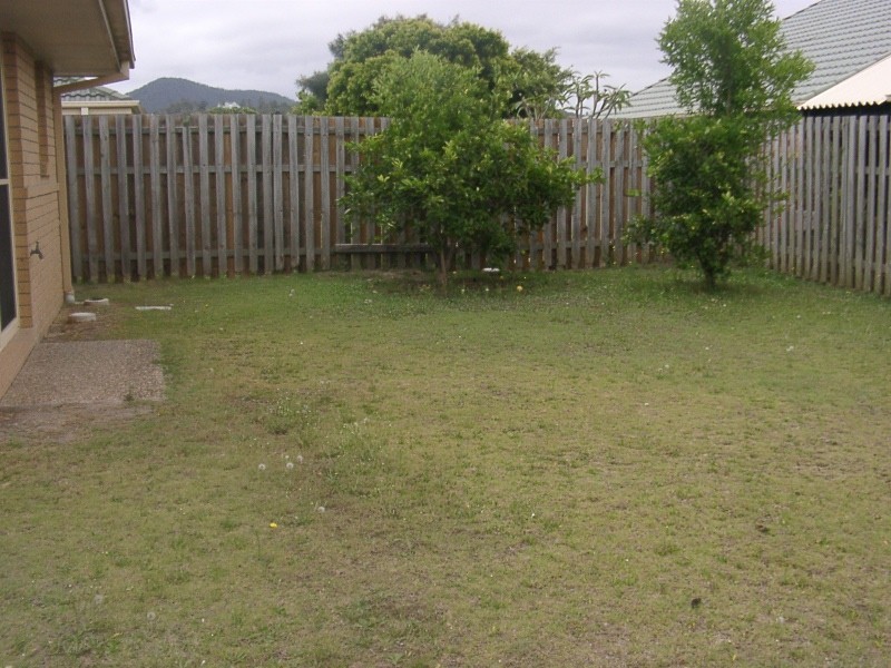 41 Fawn Street, Upper Coomera QLD 4209