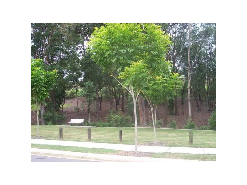 Upper Coomera QLD 4209